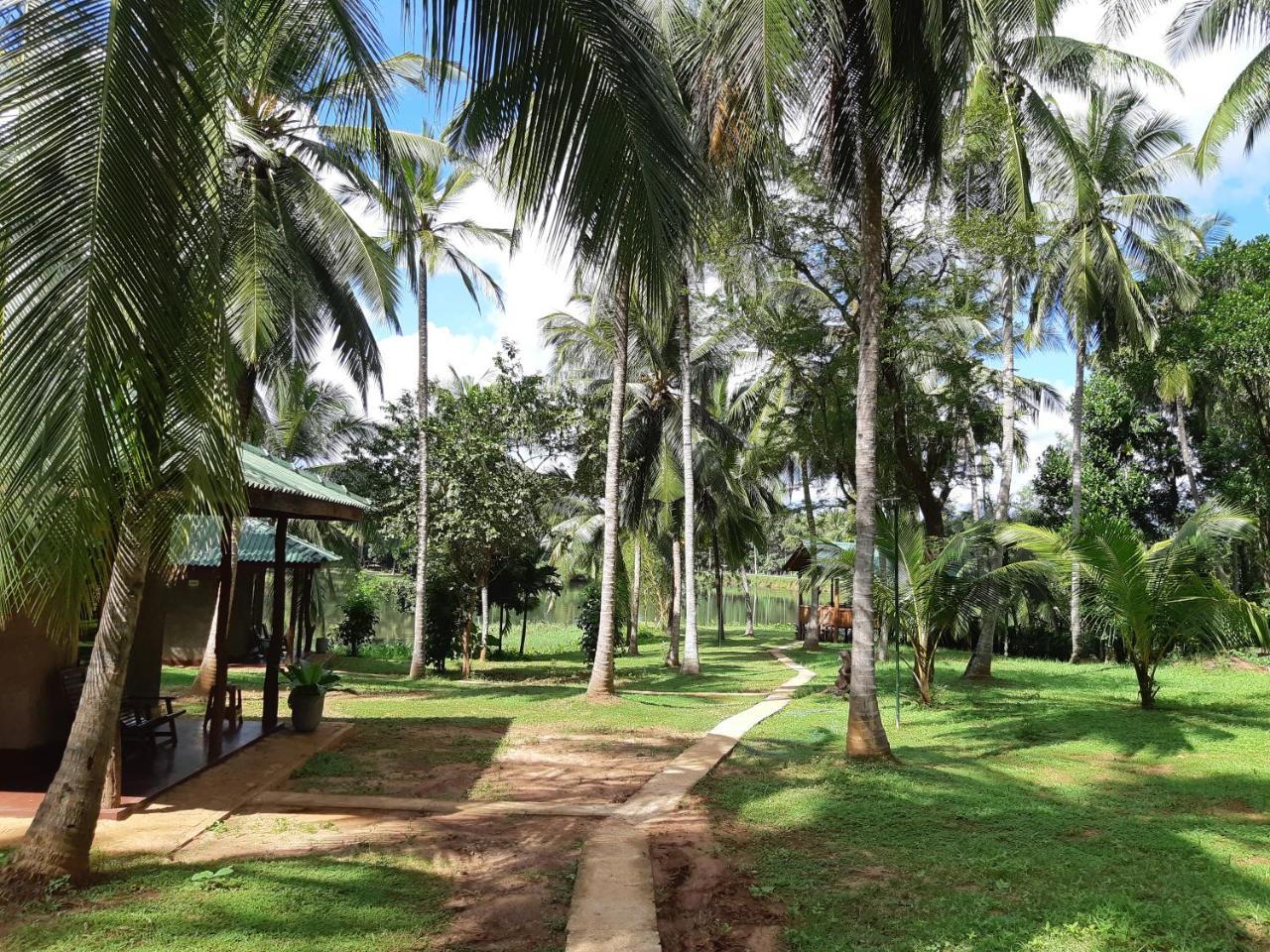 Udawalawa Safari Resort Udawalawe Exterior foto